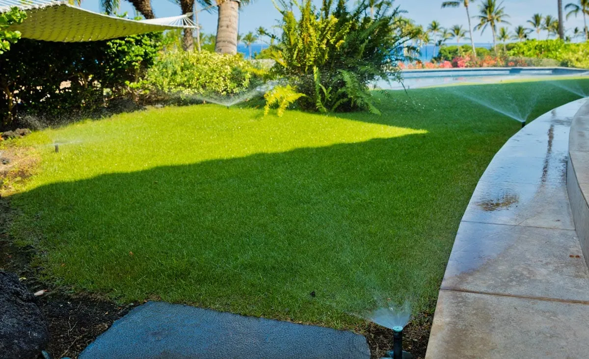 Irrigation System Efficiency