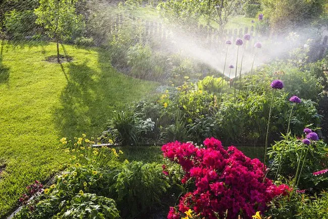 Landscape Irrigation System