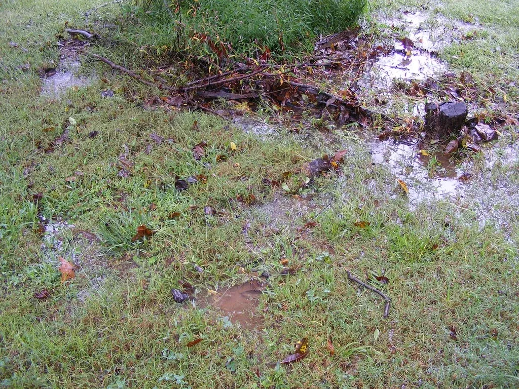 Irrigation System Saturated Soil