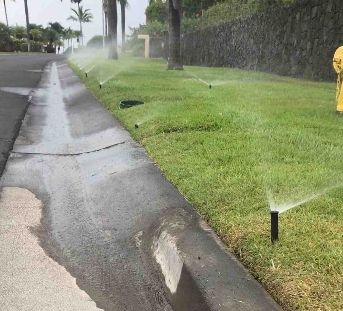 A street scene showing sprinklers spraying water onto a grassy area beside the road.