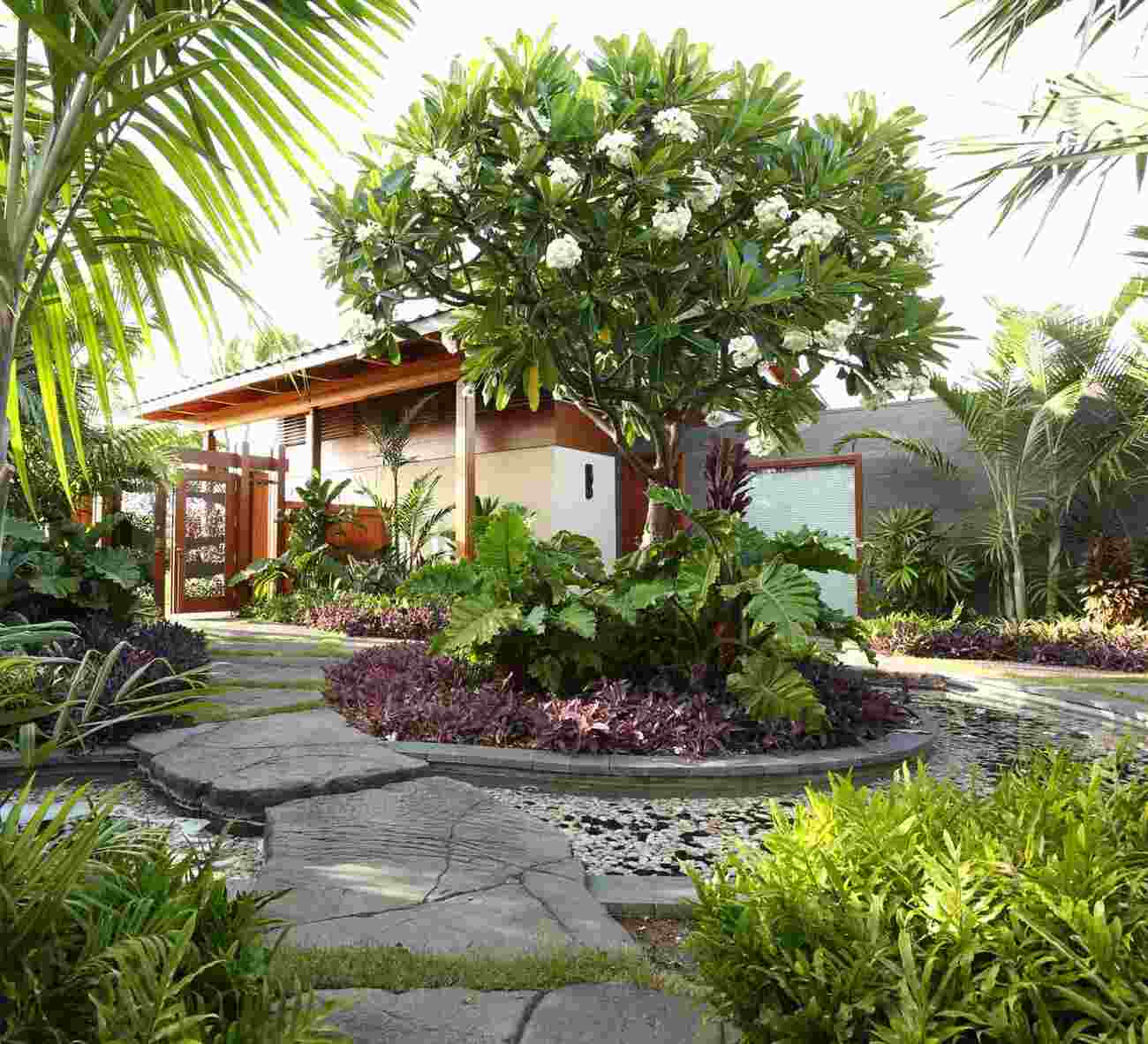 A lush garden featuring a variety of plants and trees, including a large tree with white flowers, surrounding a modern house with a wooden entrance. The pathway is made of stone and leads through vibrant foliage.