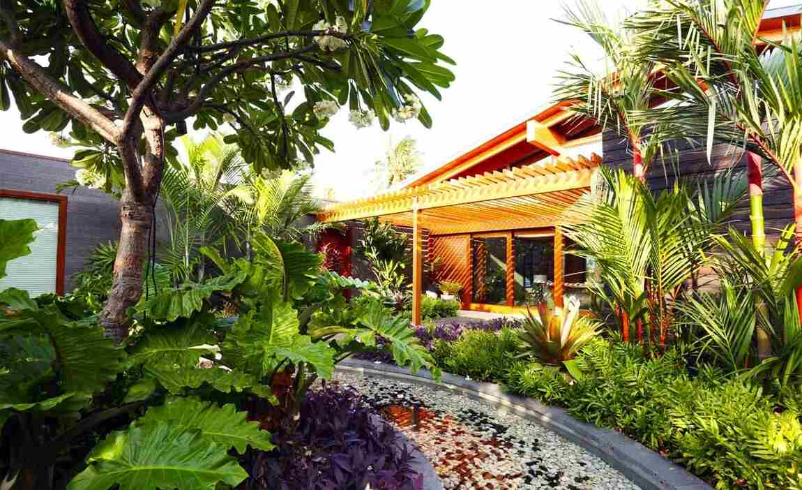 A lush garden with various tropical plants and a small pond, surrounded by modern architecture featuring large windows and a wooden structure.