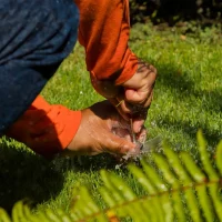 A person wearing an orange shirt is using a tool to work on the grass or soil, with water splashing around their hands.