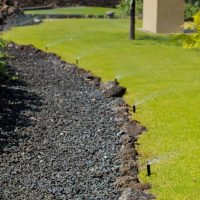 A landscaped area featuring a green lawn bordered by black lava rocks, with sprinkler heads visible along the edge, and trees in the background.
