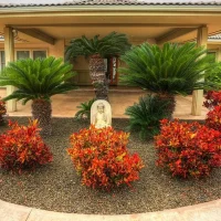 A landscaped area featuring vibrant red and green plants, a statue in the center, and a modern house in the background with a tiled roof.
