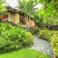 A lush garden with tropical plants and a pathway leading to a house, surrounded by greenery.