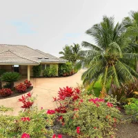A picturesque home is surrounded by lush tropical vegetation and colorful flowers, with palm trees lining the entrance driveway.