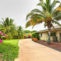 A tropical landscape featuring a path leading to a house surrounded by palm trees and colorful flowers.