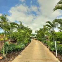 A pathway winding through a lush garden filled with palm trees and other greenery, under a partly cloudy sky.