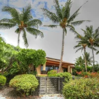 A tropical landscape featuring a house surrounded by lush greenery, palm trees, and colorful shrubs.