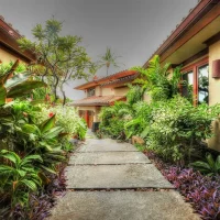 A pathway lined with lush greenery and colorful plants, leading to buildings with a tropical architectural style.