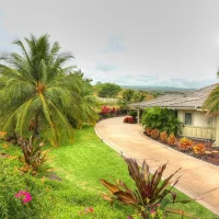 A picturesque landscape featuring a pathway leading to a house, surrounded by lush greenery and vibrant flowers. Palm trees and various plants are visible, with an open space in the background.